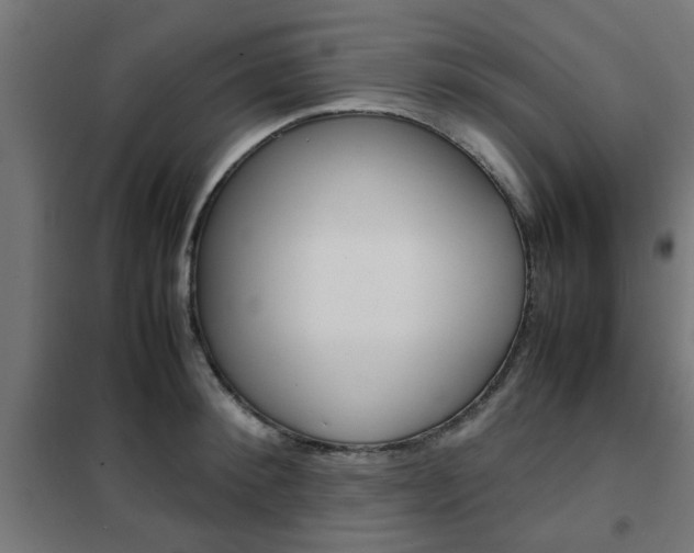 X0000102250900200807250858