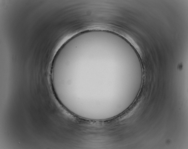 X0000102250901200807250858