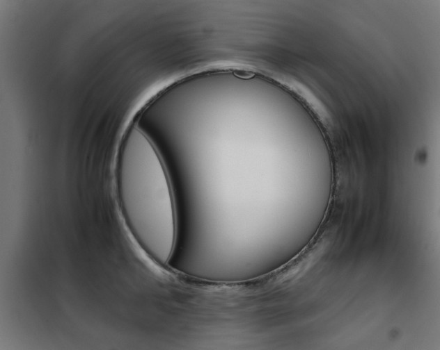 X0000102250902200807250858