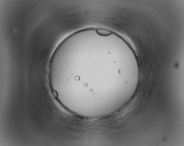 X0000102250903200807250858