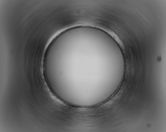X0000102250904200807250858