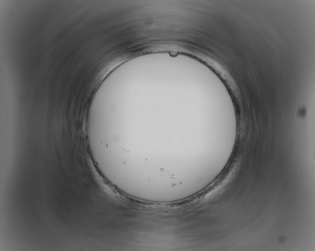 X0000102250905200807250858