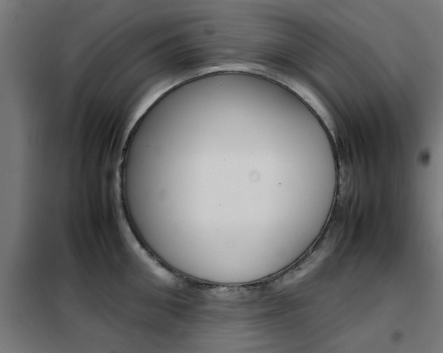 X0000102250906200807250858