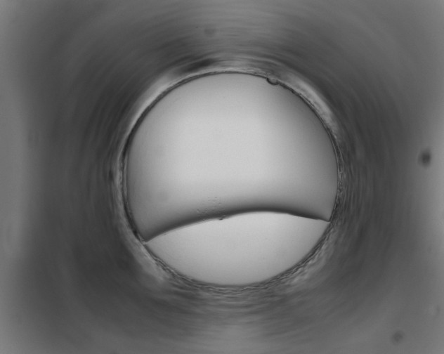 X0000102250907200807250858