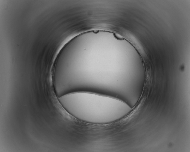 X0000102250908200807250858