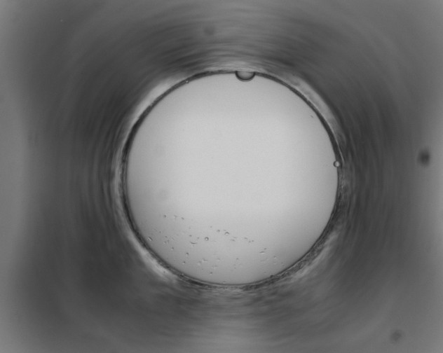 X0000102250909200807250858