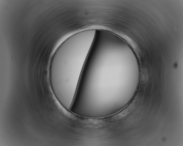 X0000102250910200807250858