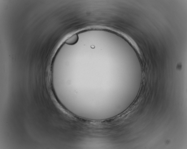 X0000102250911200807250858