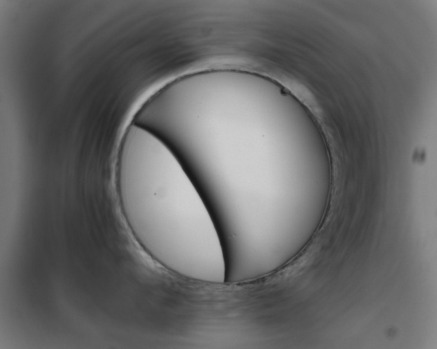 X0000102250912200807250858