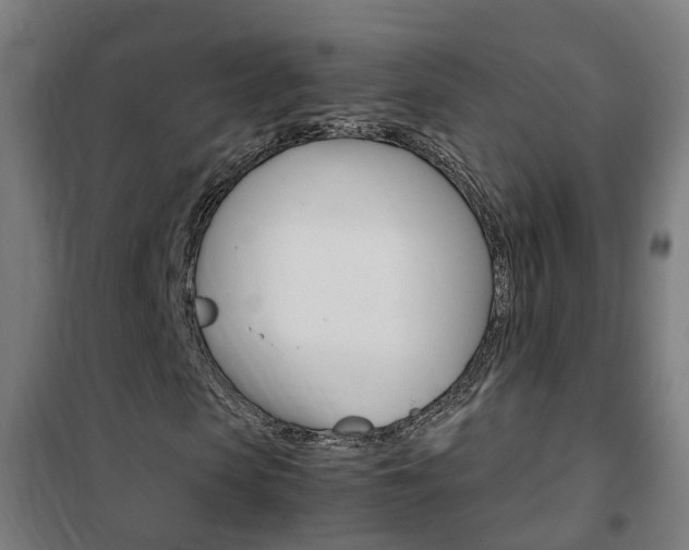 X0000102250913200807250857