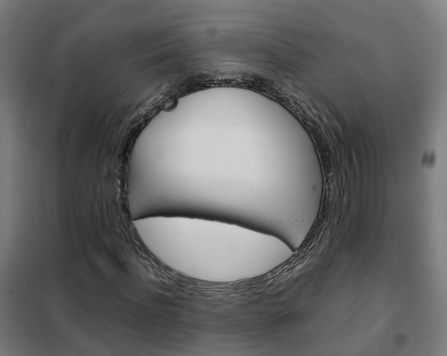 X0000102250916200807250857