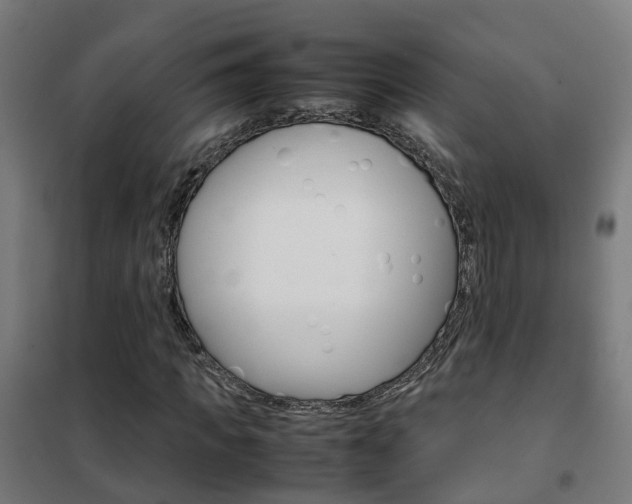 X0000102250917200807250857