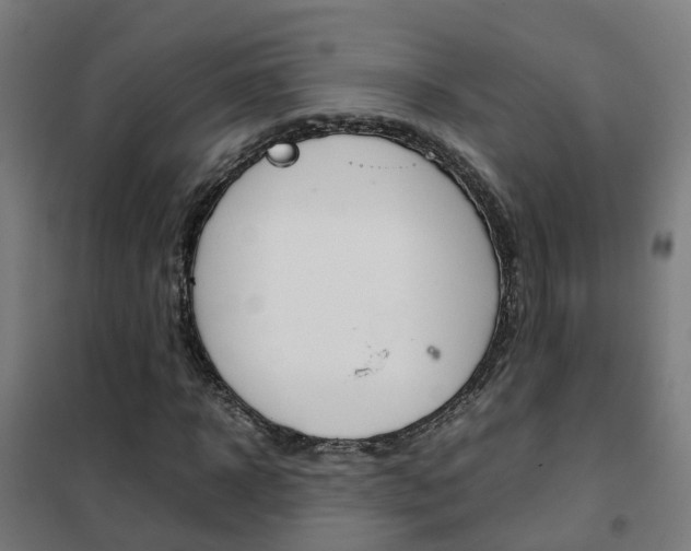 X0000102250918200807250857