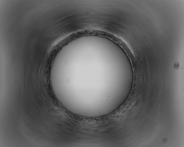 X0000102250919200807250857