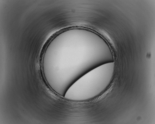 X0000102250924200807250857
