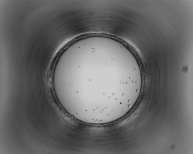 X0000102250925200807250857