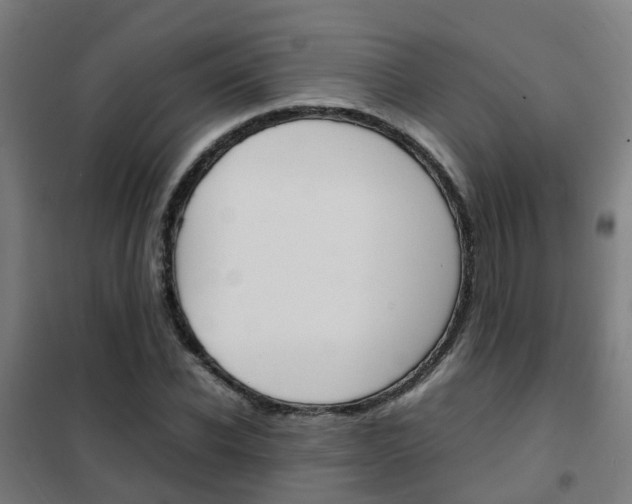 X0000102250926200807250857