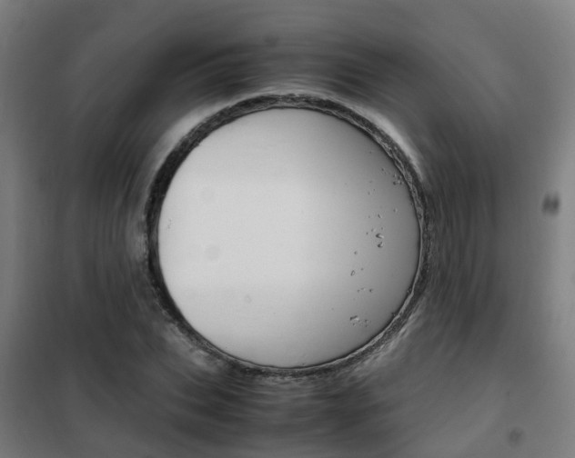 X0000102250927200807250857