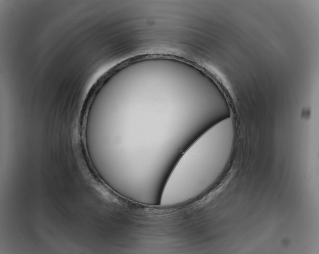 X0000102250928200807250857