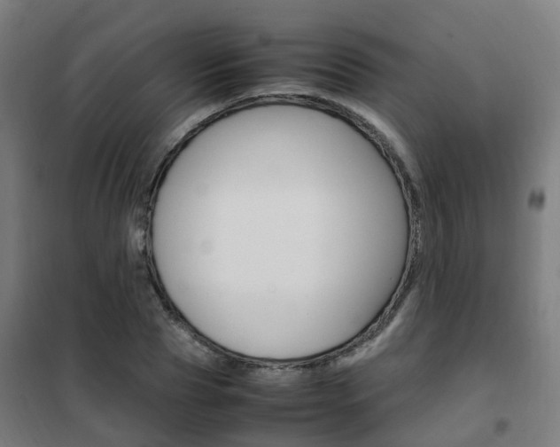 X0000102250929200807250857