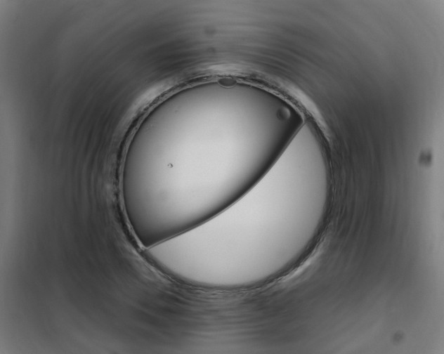 X0000102250930200807250857