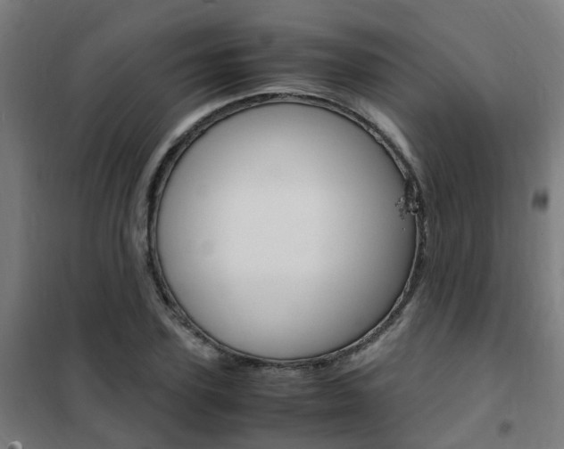 X0000102250931200807250857