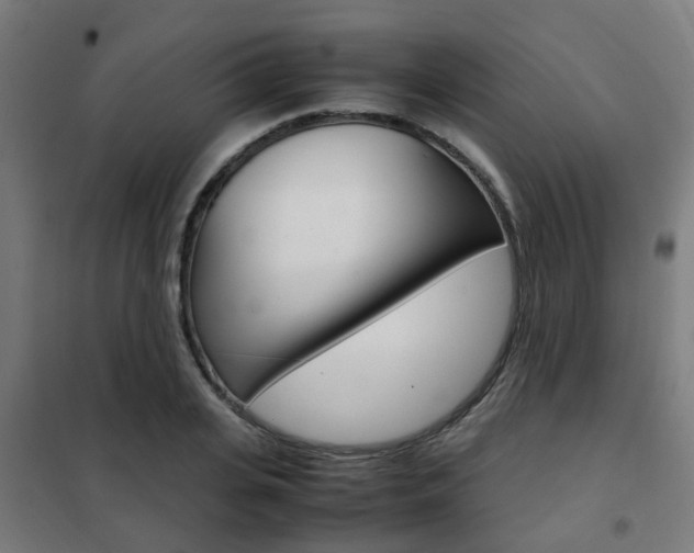 X0000102250935200807250858