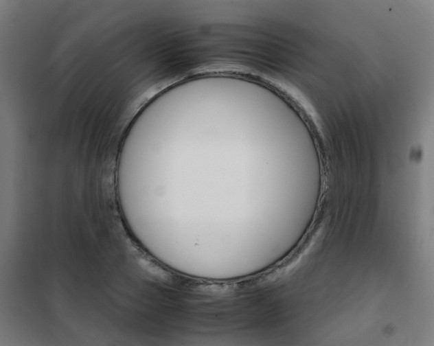 X0000102250937200807250858