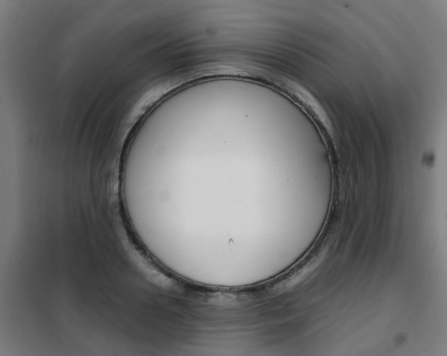 X0000102250938200807250858