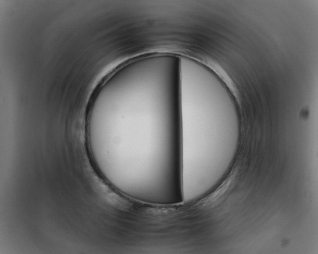 X0000102250939200807250858
