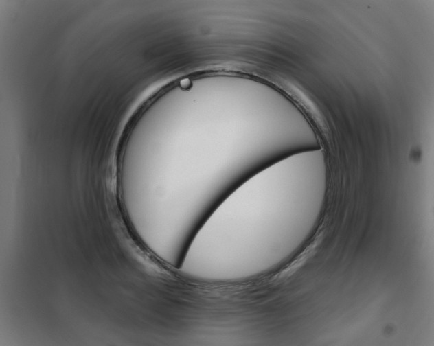 X0000102250940200807250858