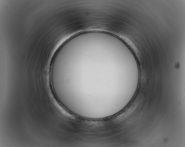 X0000102250941200807250858