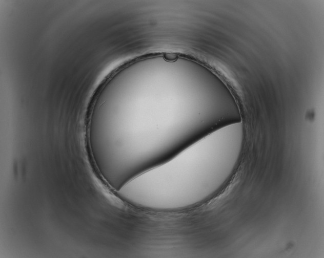 X0000102250942200807250858