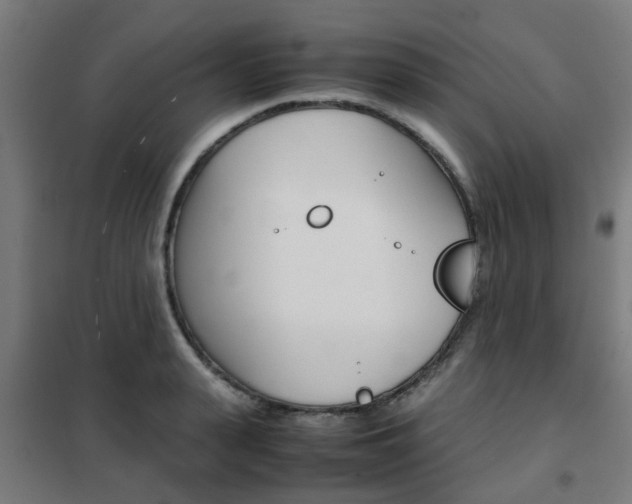 X0000102250943200807250858