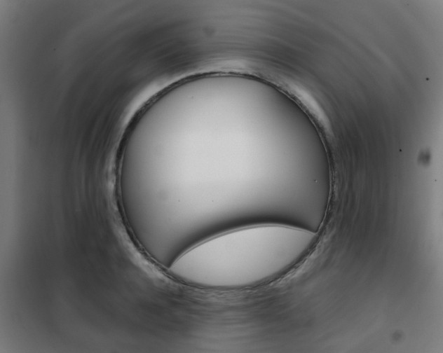 X0000102250944200807250858