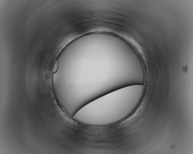 X0000102250945200807250858