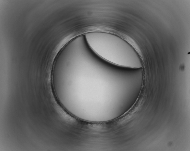 X0000102250946200807250858