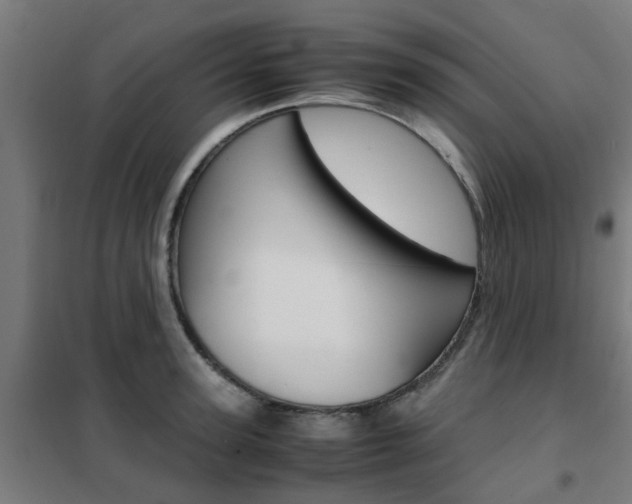 X0000102250947200807250858