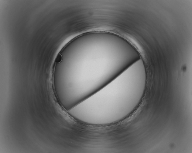 X0000102250948200807250858