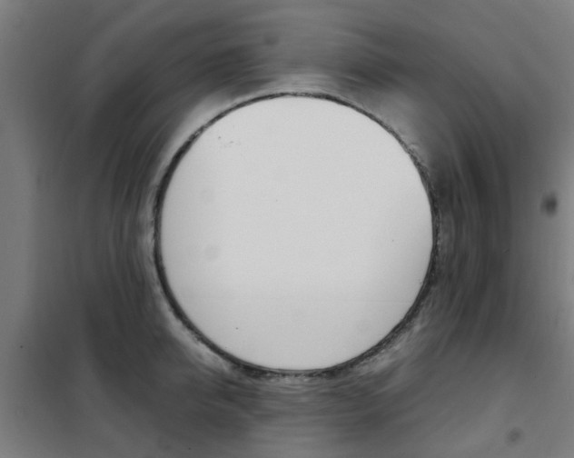 X0000102250950200807250858