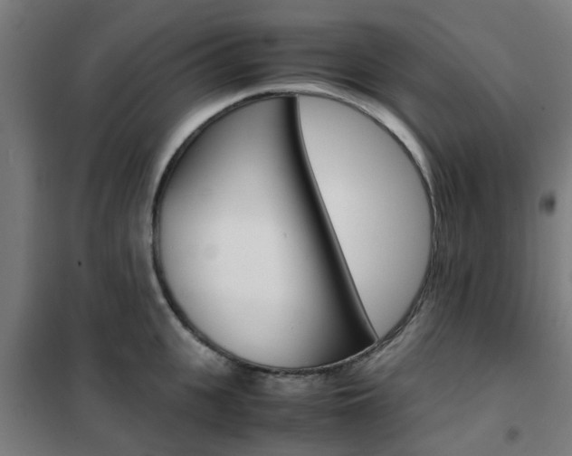 X0000102250951200807250858
