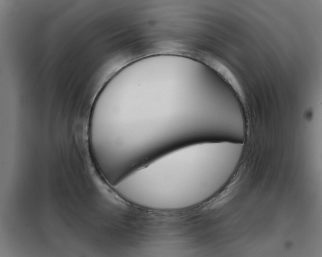 X0000102250954200807250858