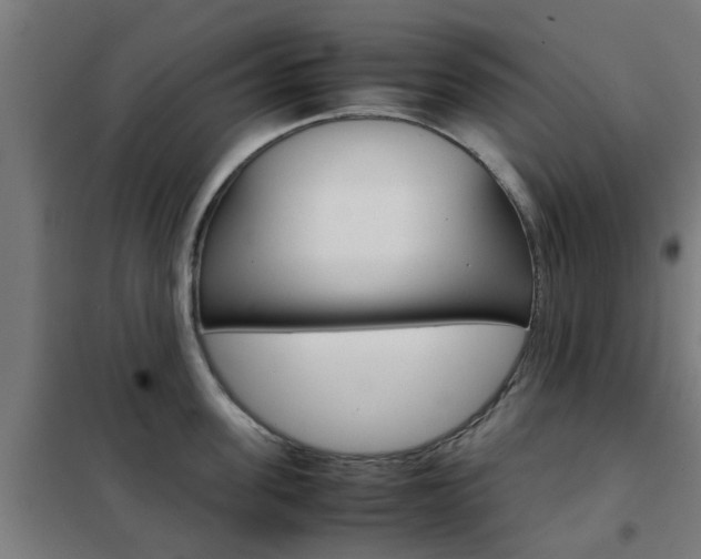 X0000102250955200807250858
