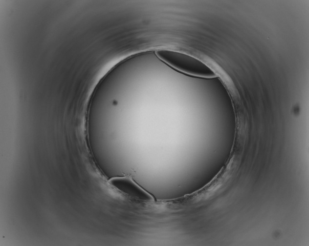 X0000102250956200807250858