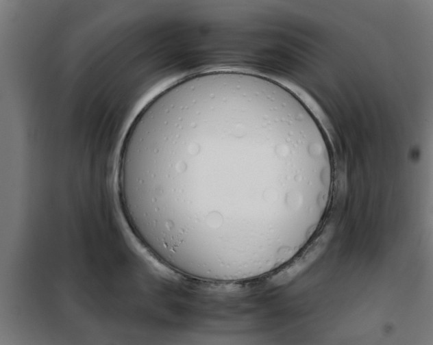 X0000102250957200807250858