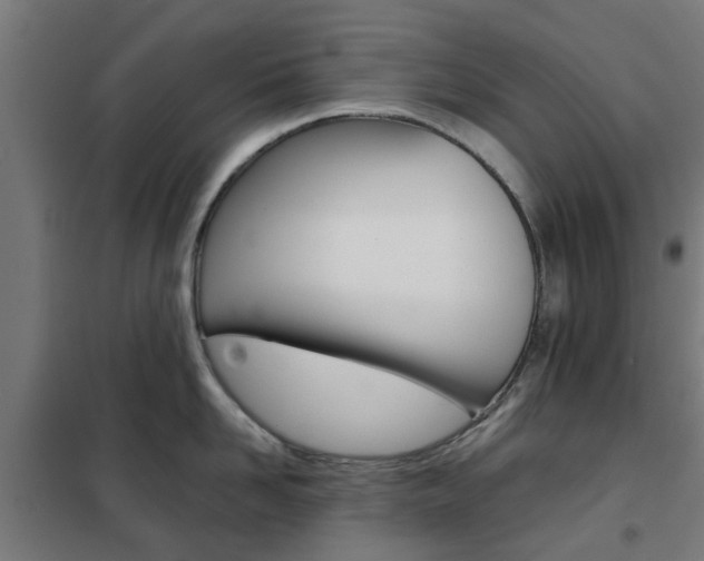 X0000102250958200807250858