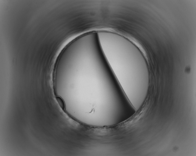 X0000102250959200807250858