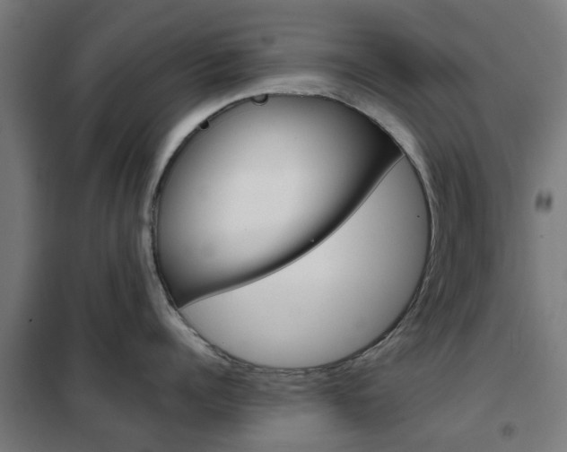X0000102250960200807250858