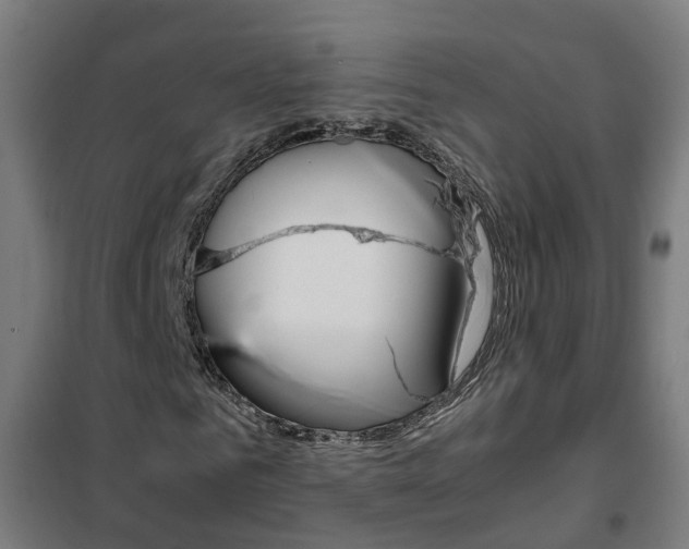 X0000102250961200807250857