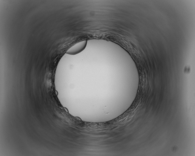 X0000102250962200807250857